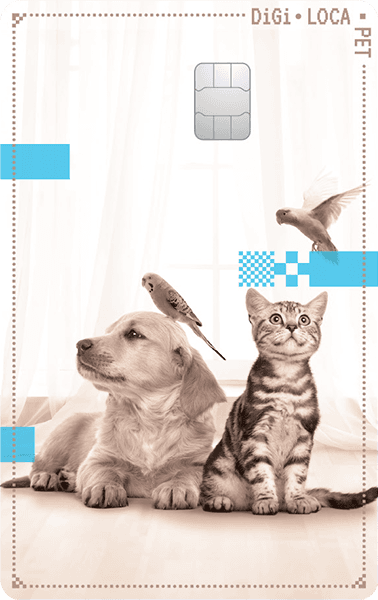 디지로카 Pet 디자인 1